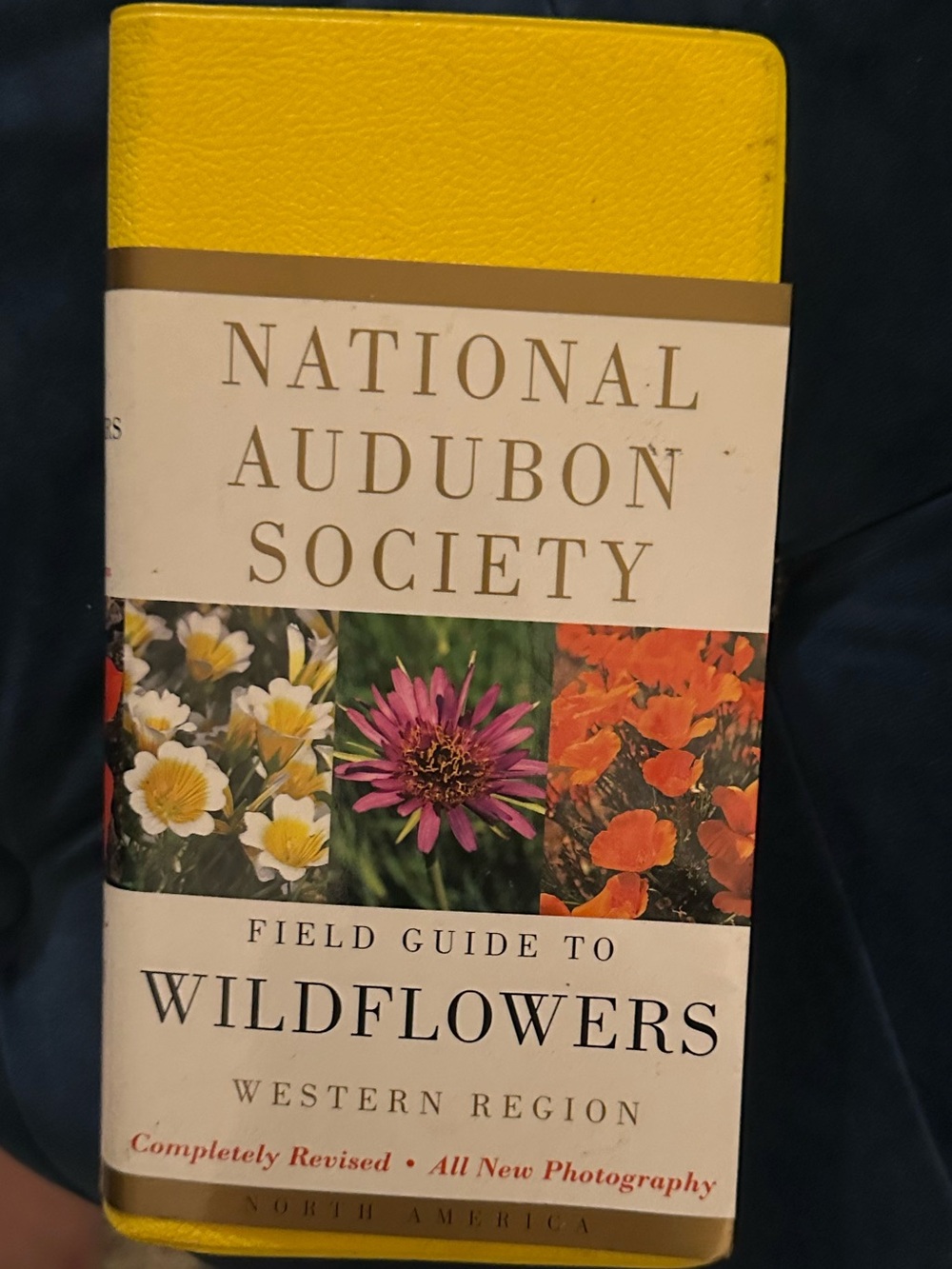National Audubon Society Field Guide North American Wildflowers Western Region